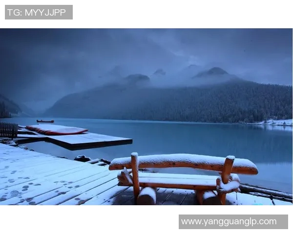 竞彩076温哥华与华盛顿对决分析及投注建议解析